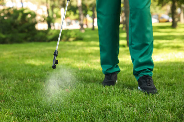 Best Spider Control Near Me  in Troutdale, OR