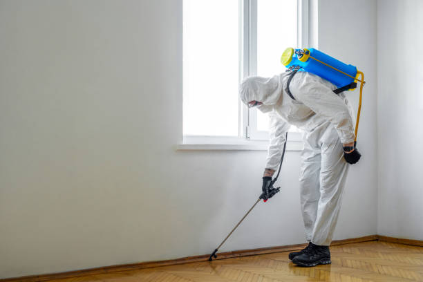 Best Pest Inspection Near Me  in Troutdale, OR