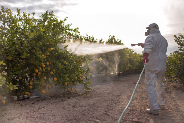 Best Exterminator Services  in Troutdale, OR