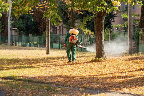 Best Pest Control Near Me  in Troutdale, OR
